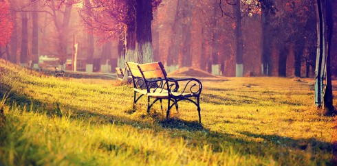 手机号自动轰炸